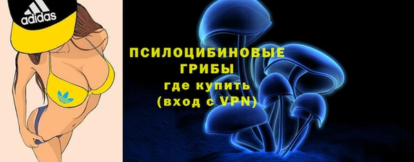 бутират Арсеньев